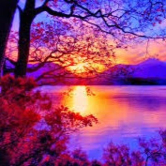 Meet your Posher, Delaney - Picture 1 of 1